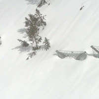 2009