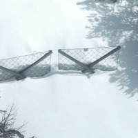 2009