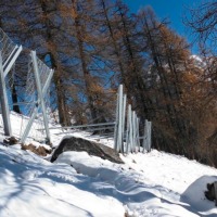Dettaglio filare elementi 